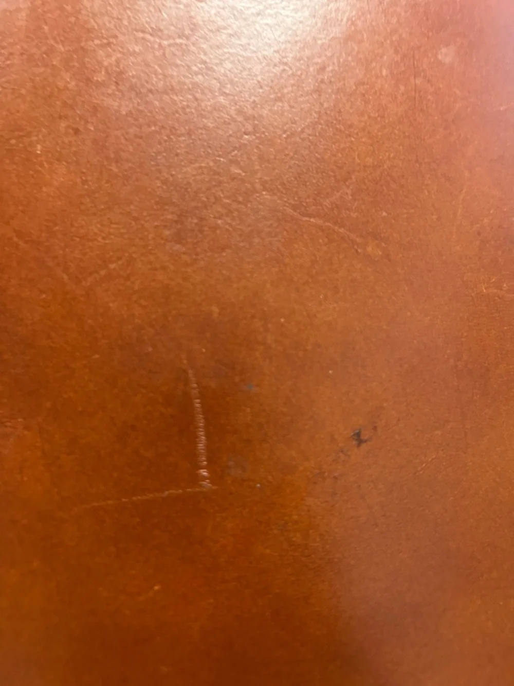 Dooney & Bourke Tan Ostrich-Embossed Tote with Matching Wallet - Picture 3 of 5